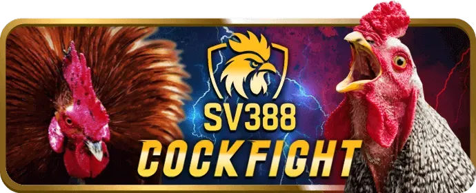 Ưu đãi và hỗ trợ khách hàng của nohu77 Nổ Hũ
